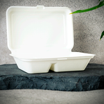 Bagasse